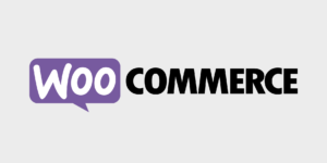 WooCommerce Store API Now Stable, Provides Better Support for Custom Frontends – WP Tavern