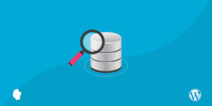 The Ultimate Developer’s Guide to the WordPress Database