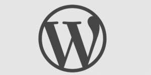 WordPress 6.1 Retires Default Site Tagline in Favor of Empty String – WP Tavern